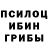 Галлюциногенные грибы Magic Shrooms xxdamnato