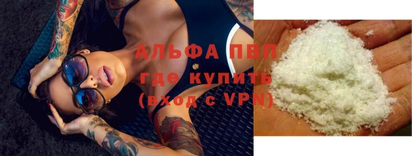 стаф Ельня