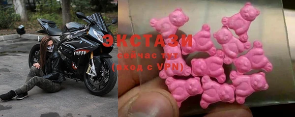 стаф Ельня