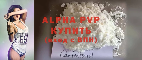 ПСИЛОЦИБИНОВЫЕ ГРИБЫ Елизово