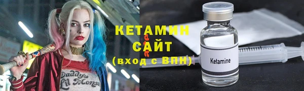 стаф Ельня
