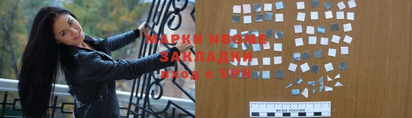 стаф Ельня