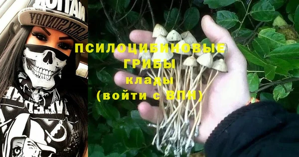 ПСИЛОЦИБИНОВЫЕ ГРИБЫ Елизово