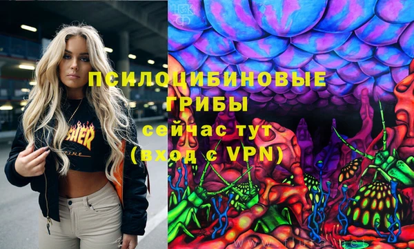 стаф Ельня