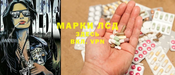 стаф Ельня