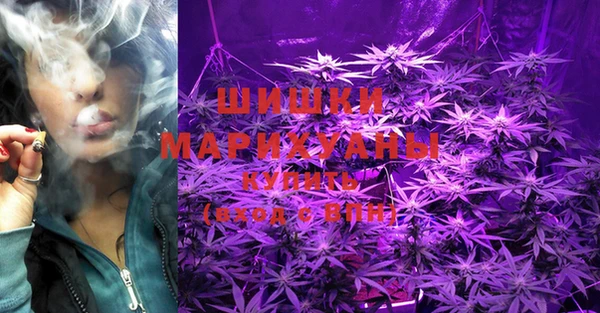 ПСИЛОЦИБИНОВЫЕ ГРИБЫ Елизово