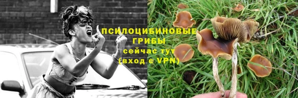 СК Заволжск