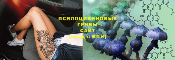 скорость mdpv Елабуга
