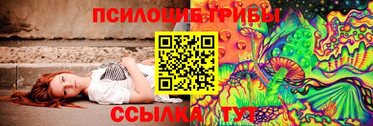 Галлюциногенные грибы Cubensis  Вход с VPN  Сочи 